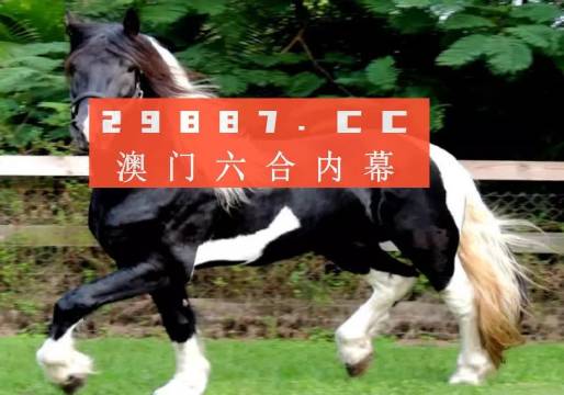 澳门和香港门和香港最快一肖一码现场直播-精选解析、解释与落实