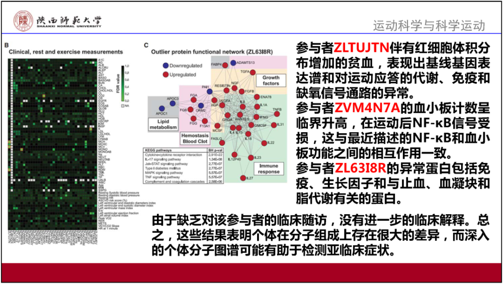 2025全年澳门与香港六中彩免费资料精准大全-详细解答、解释与落实